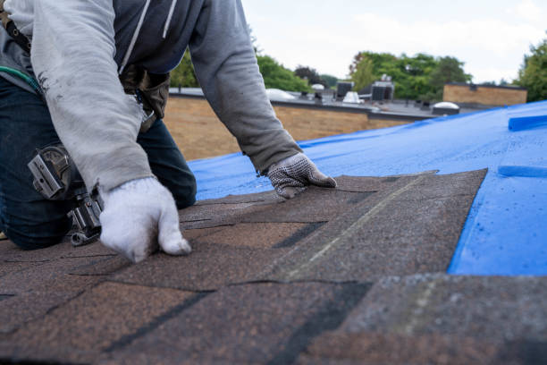 Best Storm Damage Roof Repair  in Van Alstyne, TX