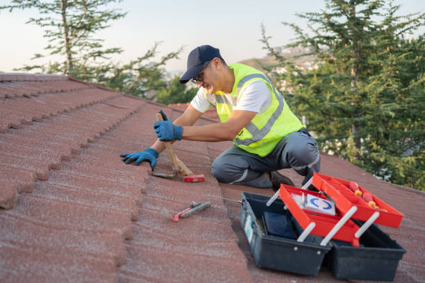 Best Roof Replacement Cost  in Van Alstyne, TX