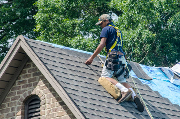 Best Roof Repair Services  in Van Alstyne, TX